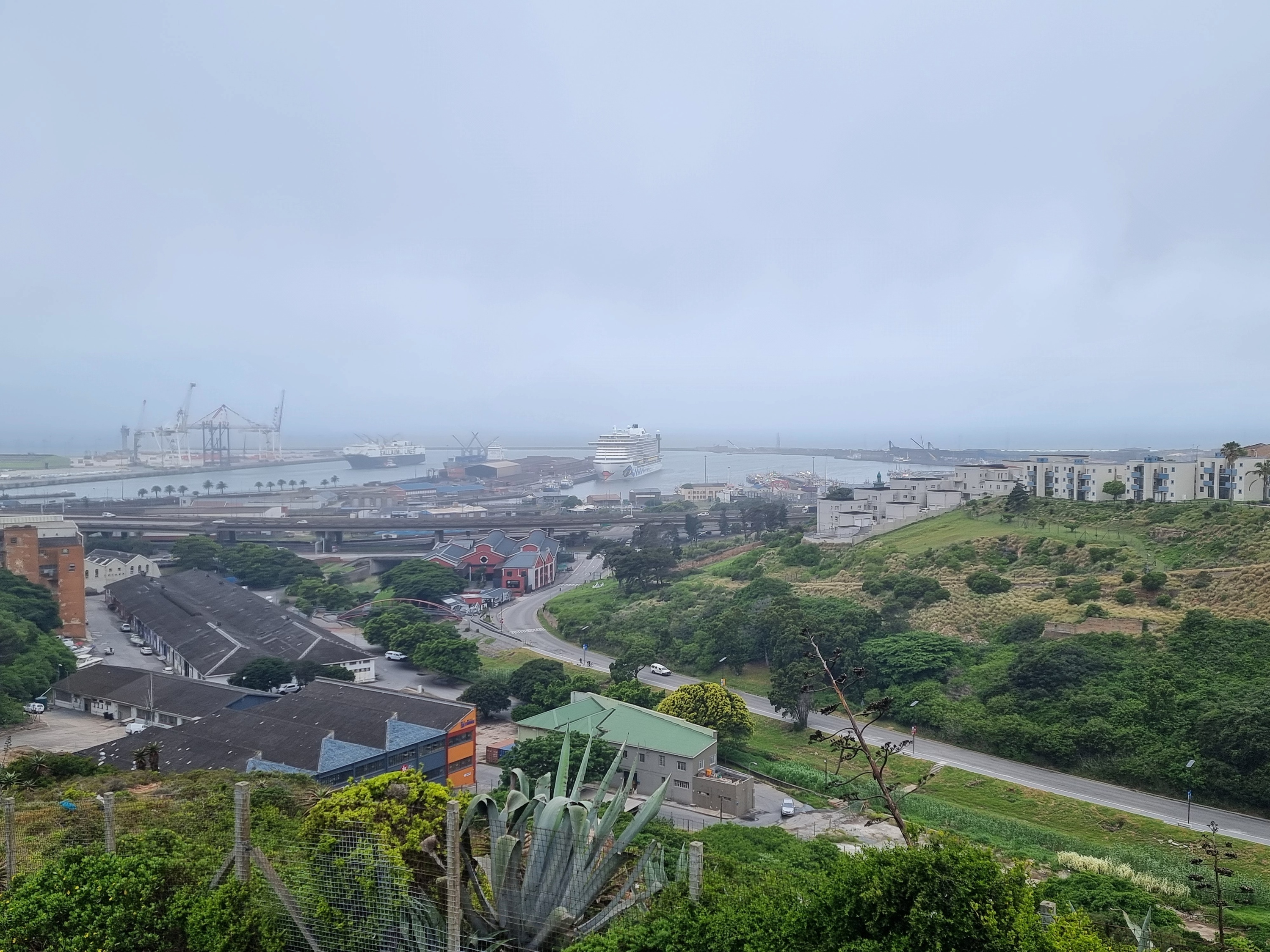 1. Tag in Port Elizabeth