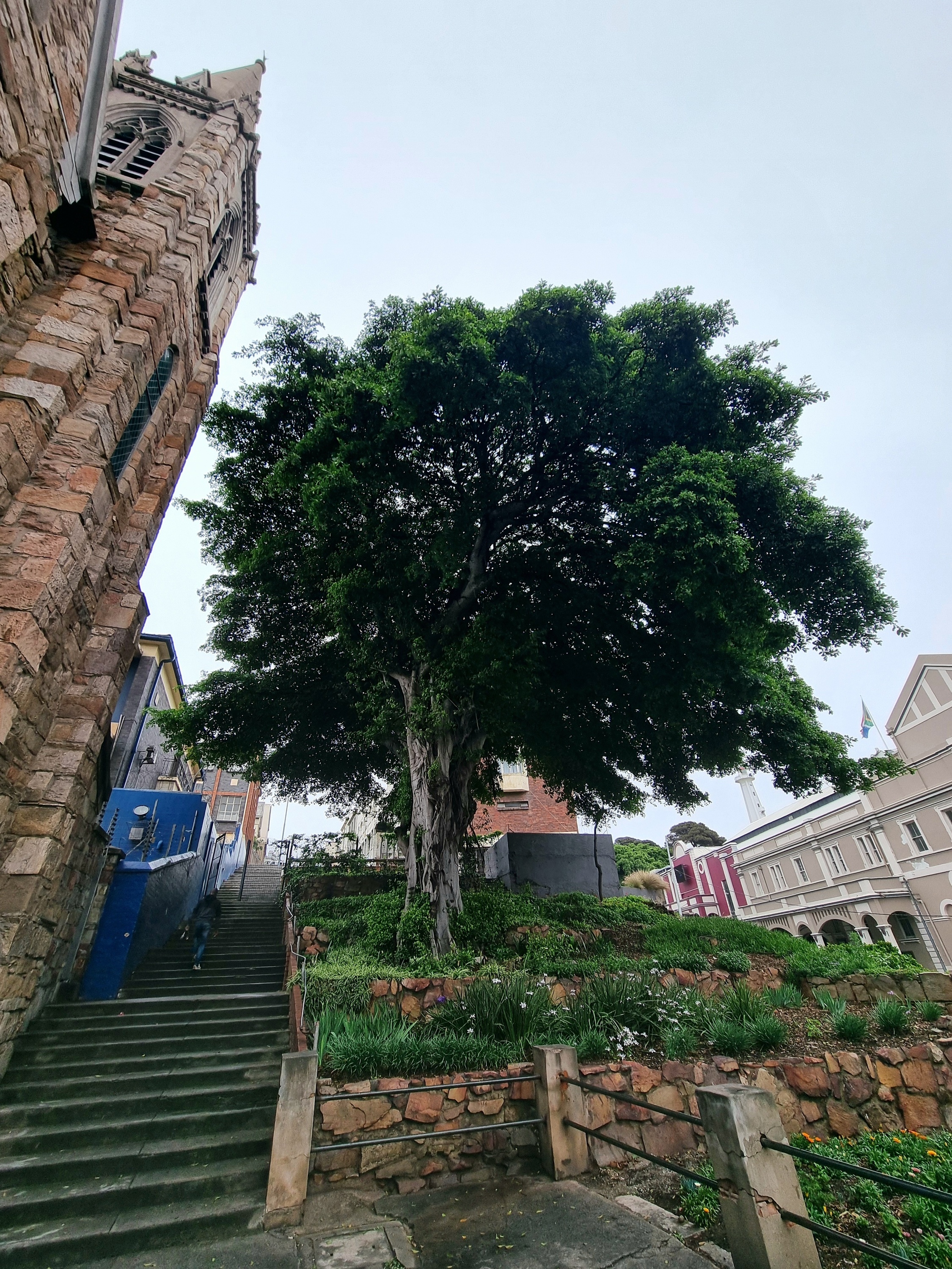 1. Tag in Port Elizabeth