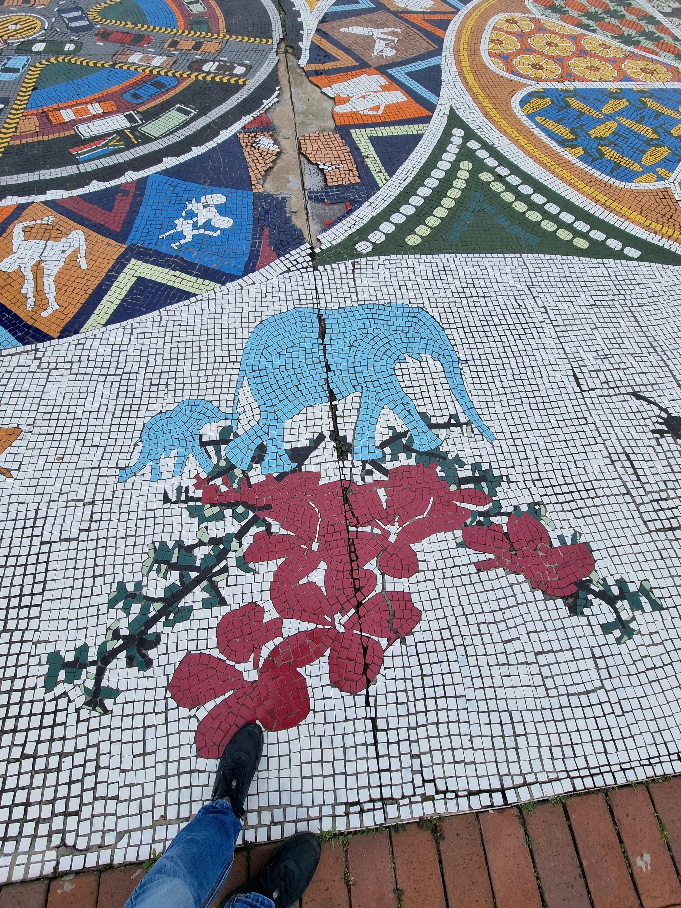 1. Tag in Port Elizabeth