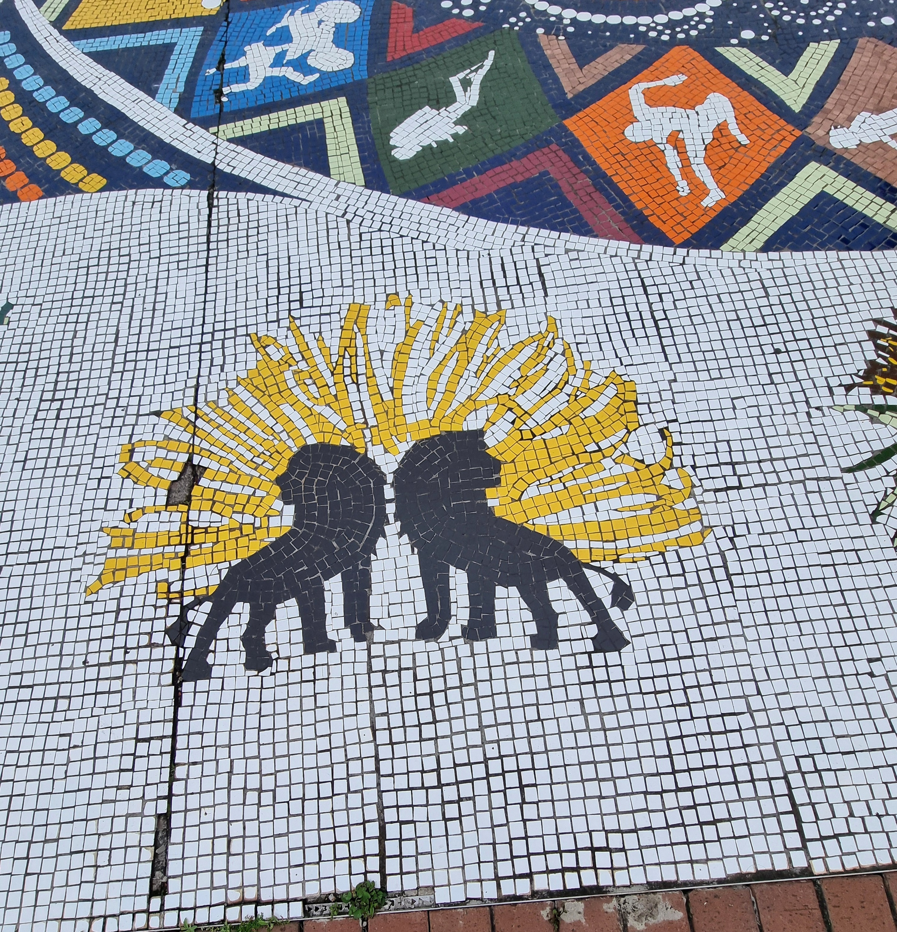 1. Tag in Port Elizabeth