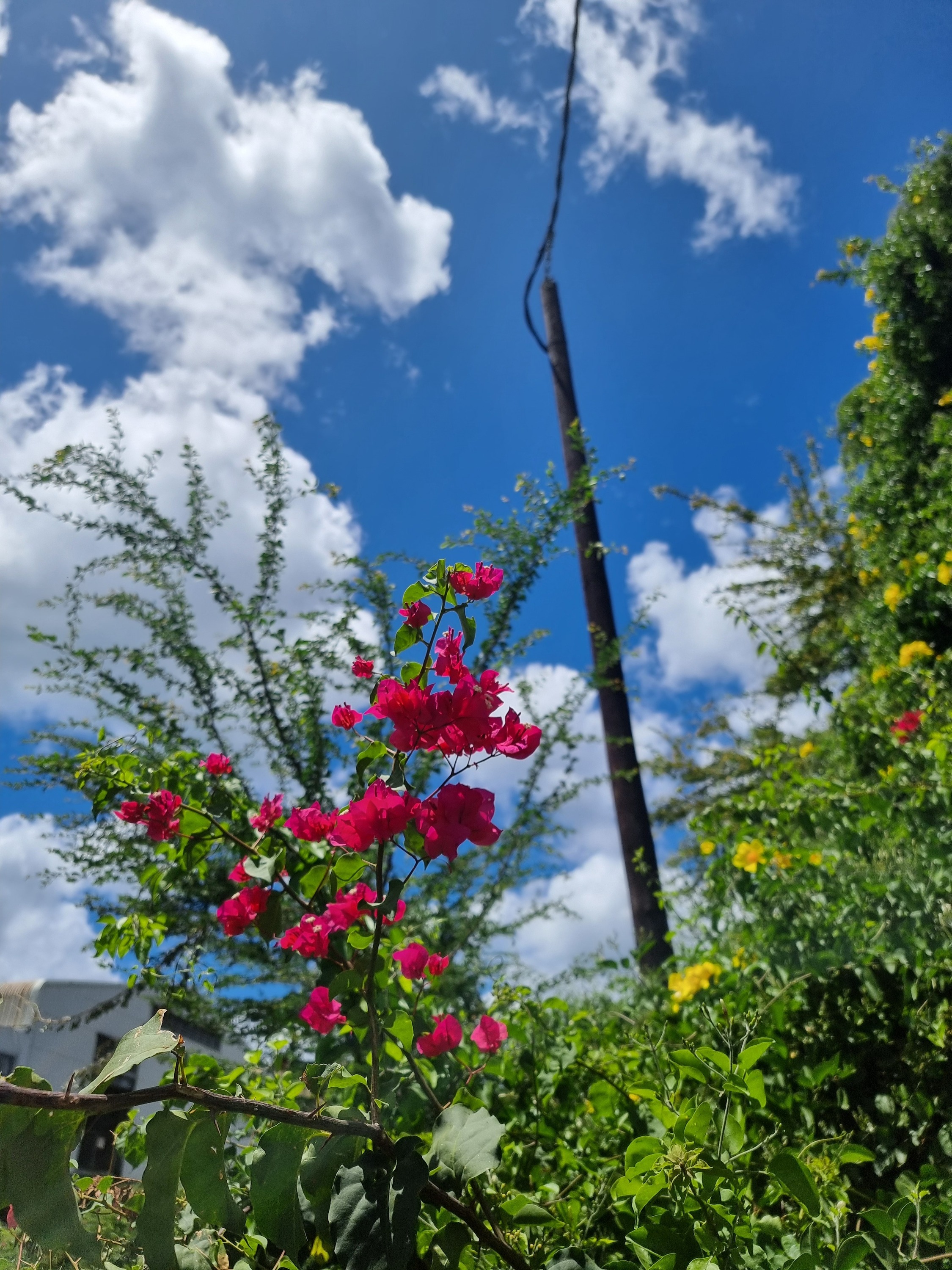 Port Louis, Mauritius, einfach mal so in den Ort gegangen