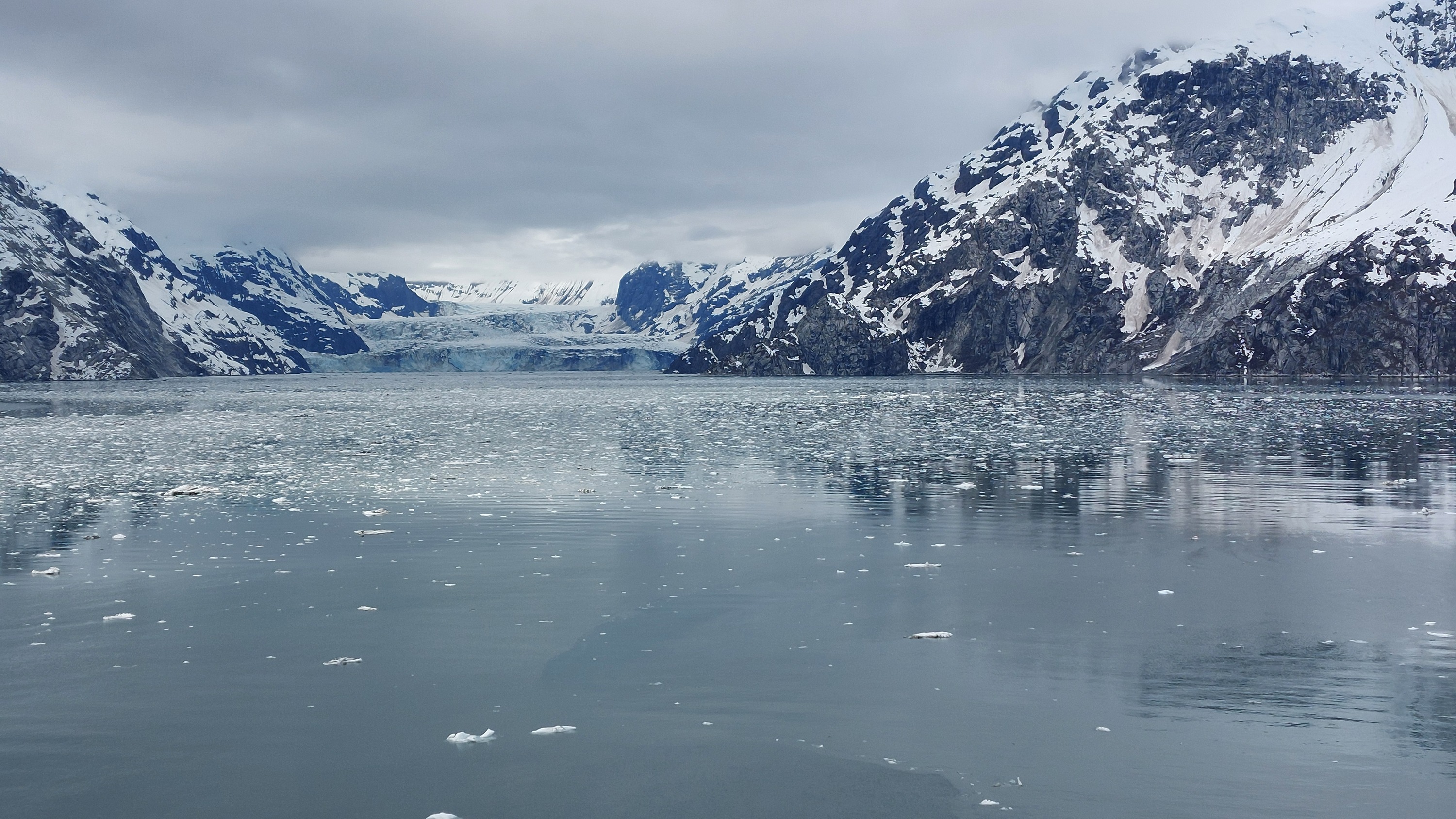 John Hopkins Inlet Glacier Bay Nationalpark