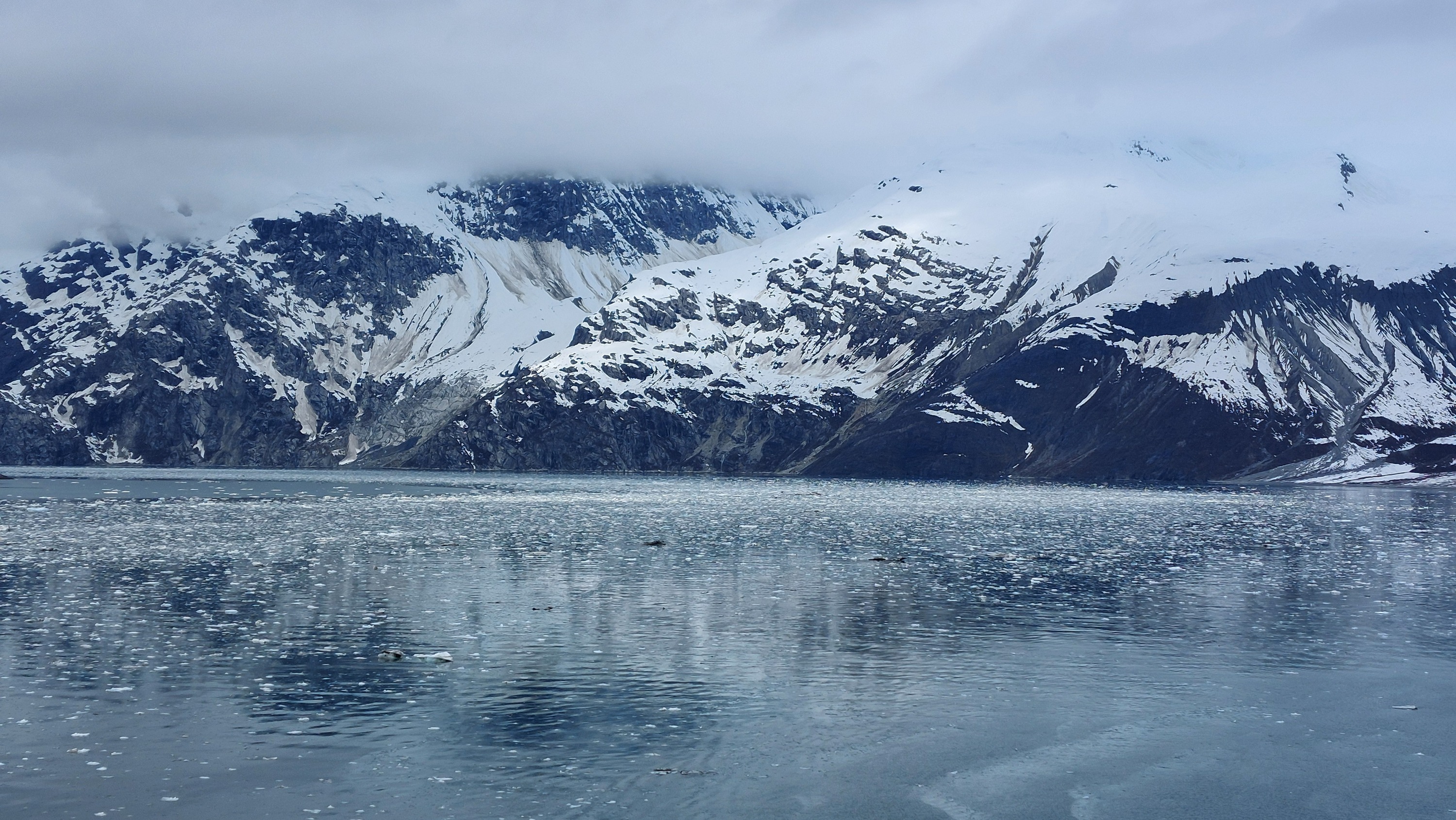 John Hopkins Inlet Glacier Bay Nationalpark