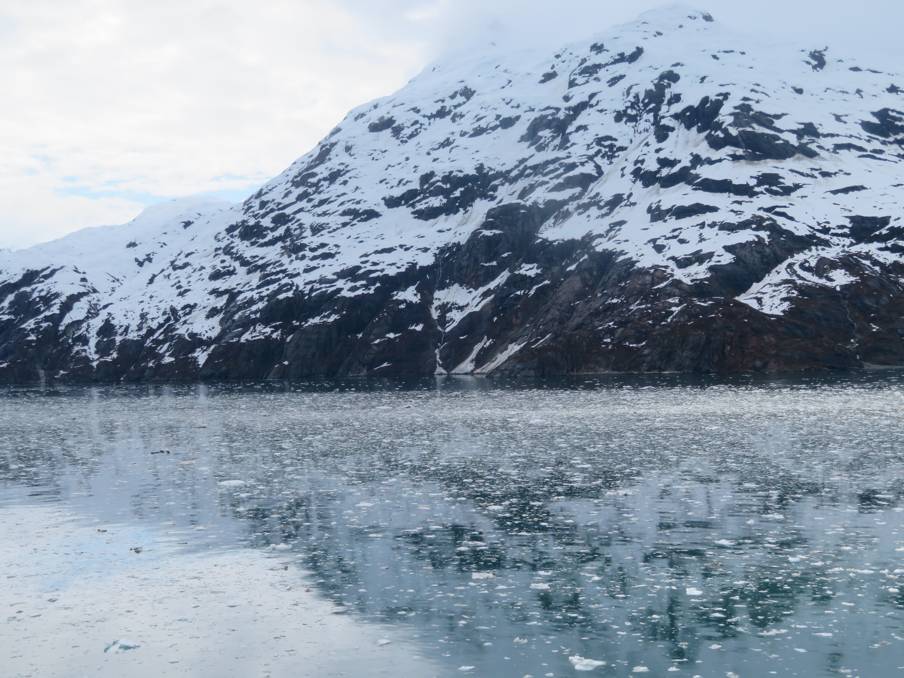 John Hopkins Inlet Glacier Bay Nationalpark
