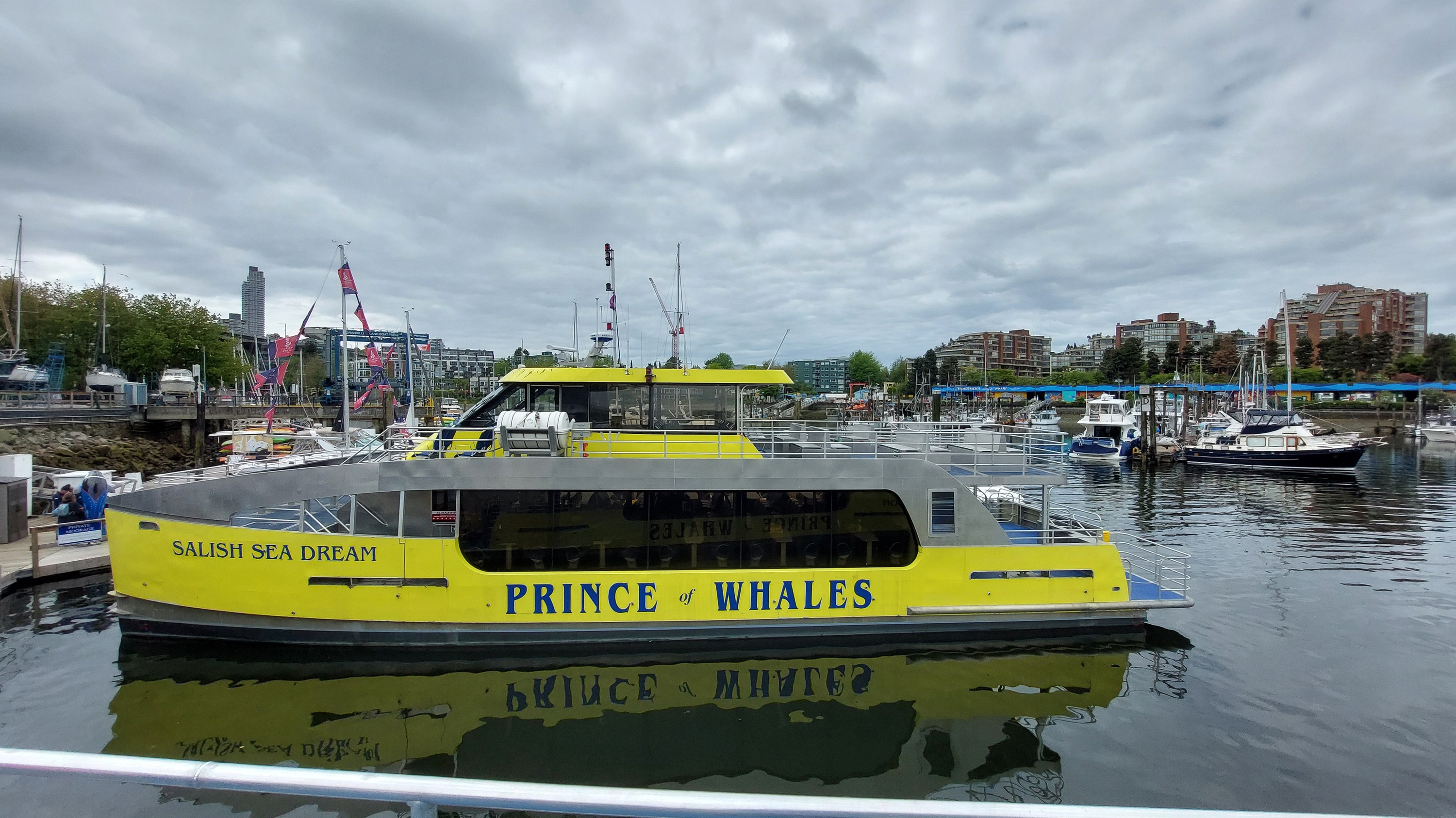 Whale Whatching mit Prince of Whales