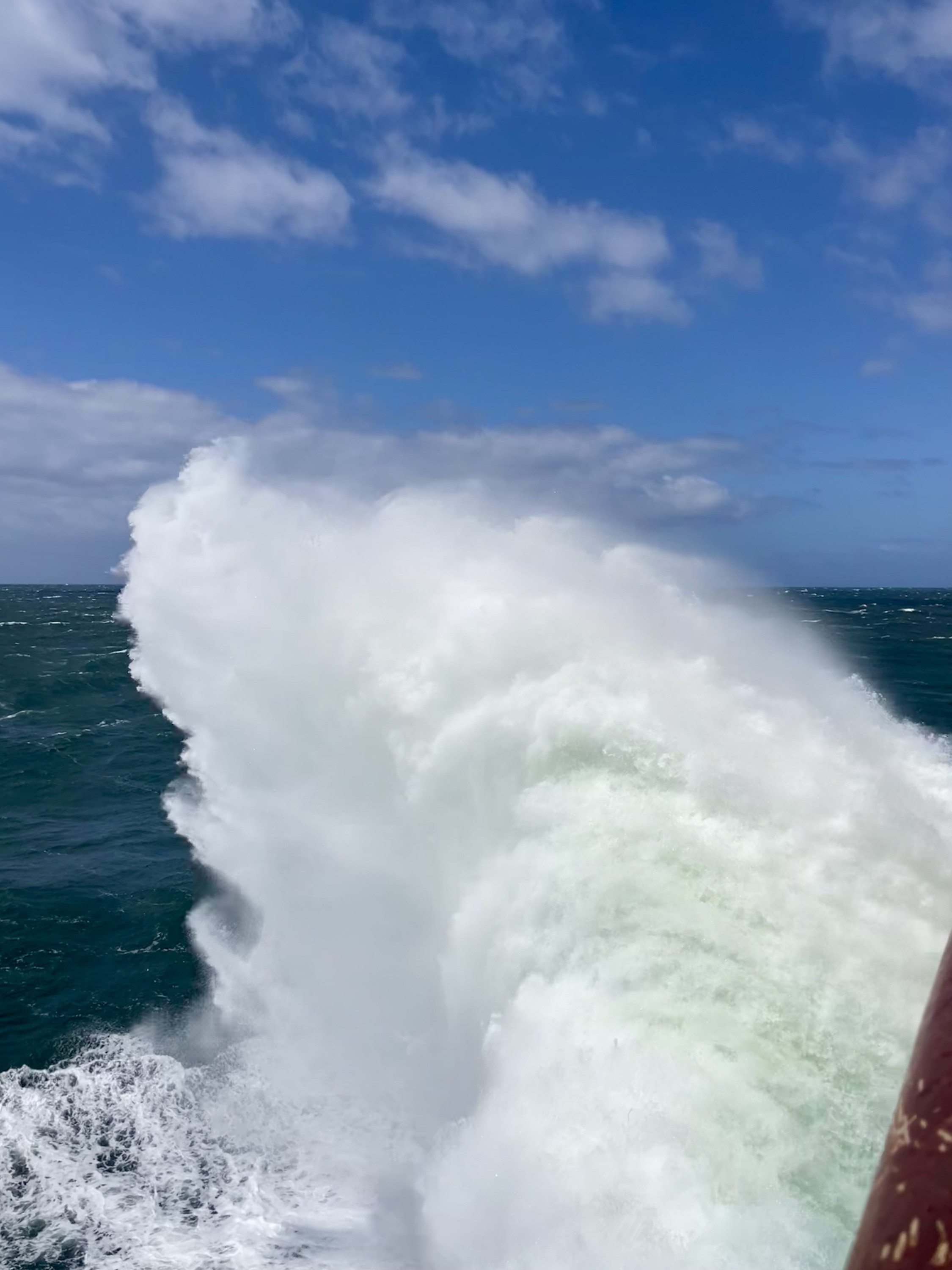 AIDAmar | AIDA Fan Cruise - Heimspiel an Bord
