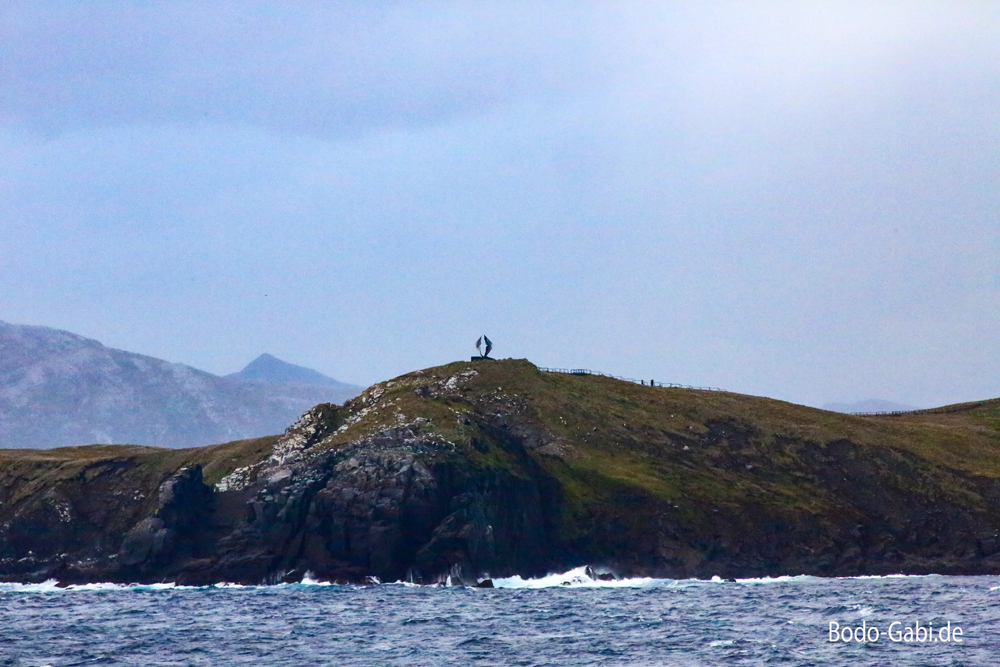 Albatros am Kap Hoorn