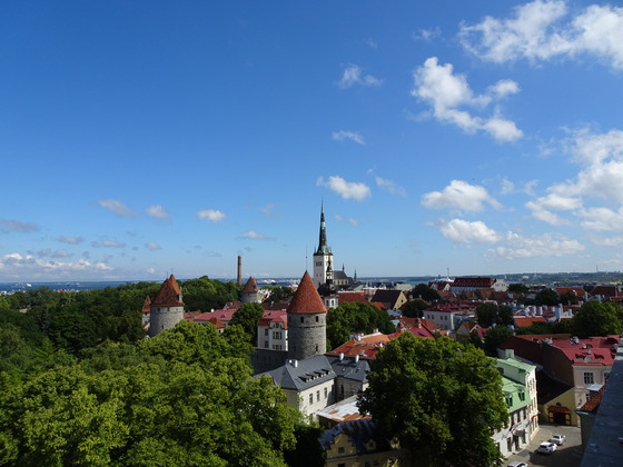 8_Tallinn von oben