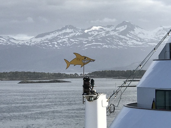 Haifisch in Molde :)