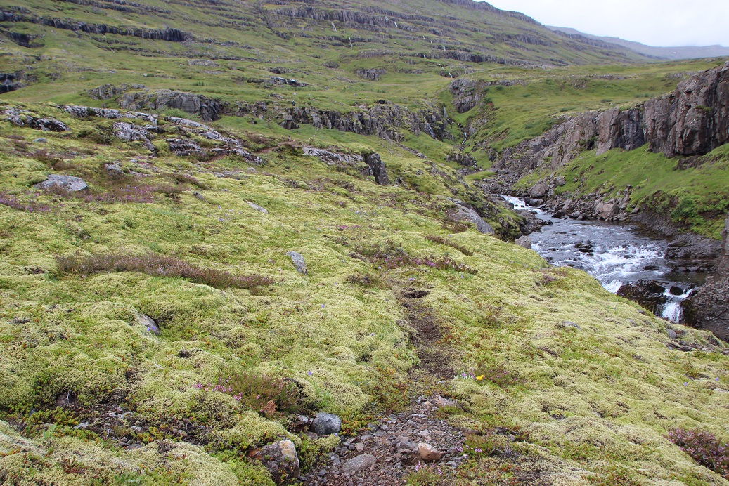 Wanderweg im mittleren Abschnitt