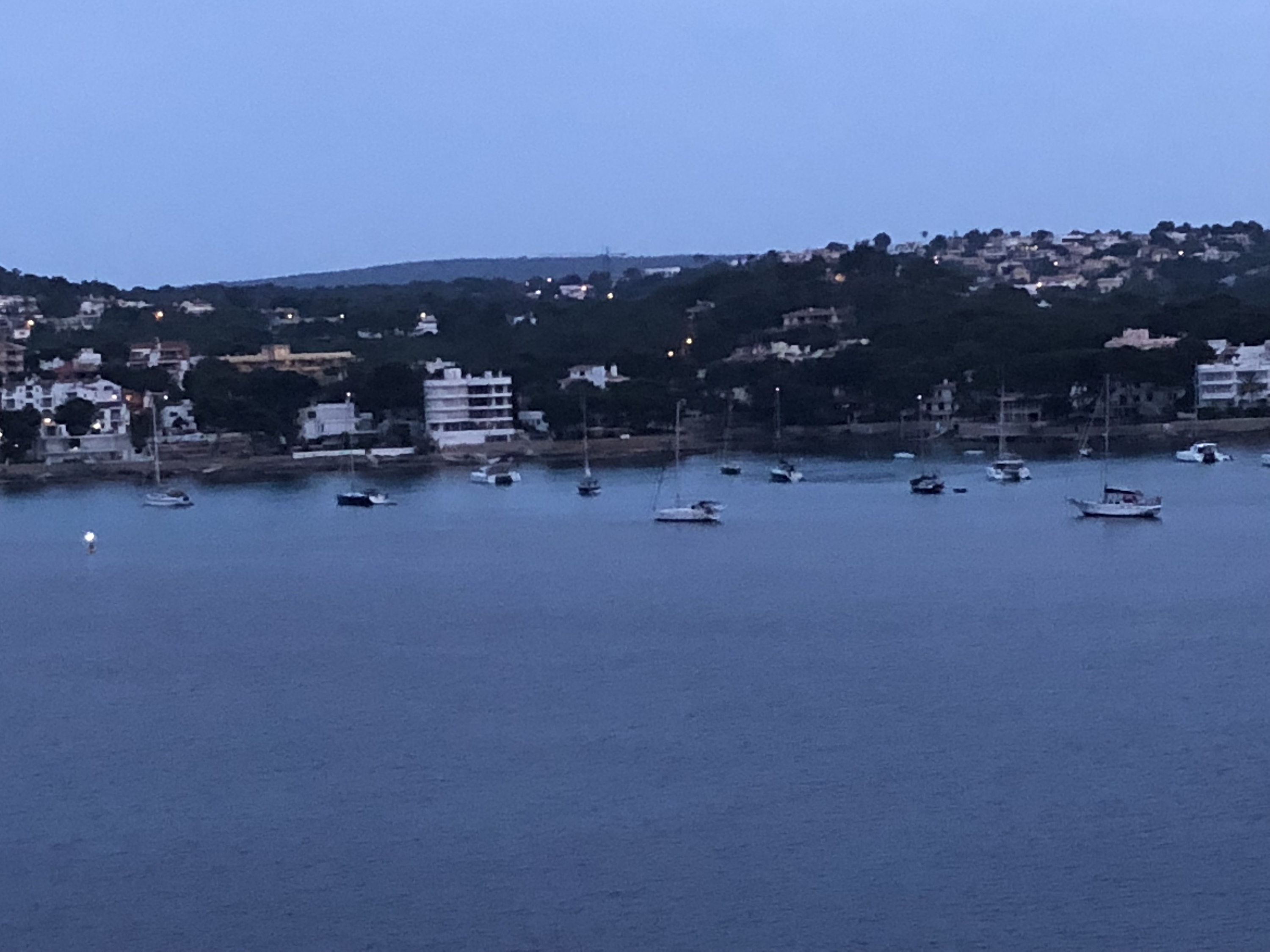 257F3A9A-ABBA-449C-B2CF-6D1AB51F10B4