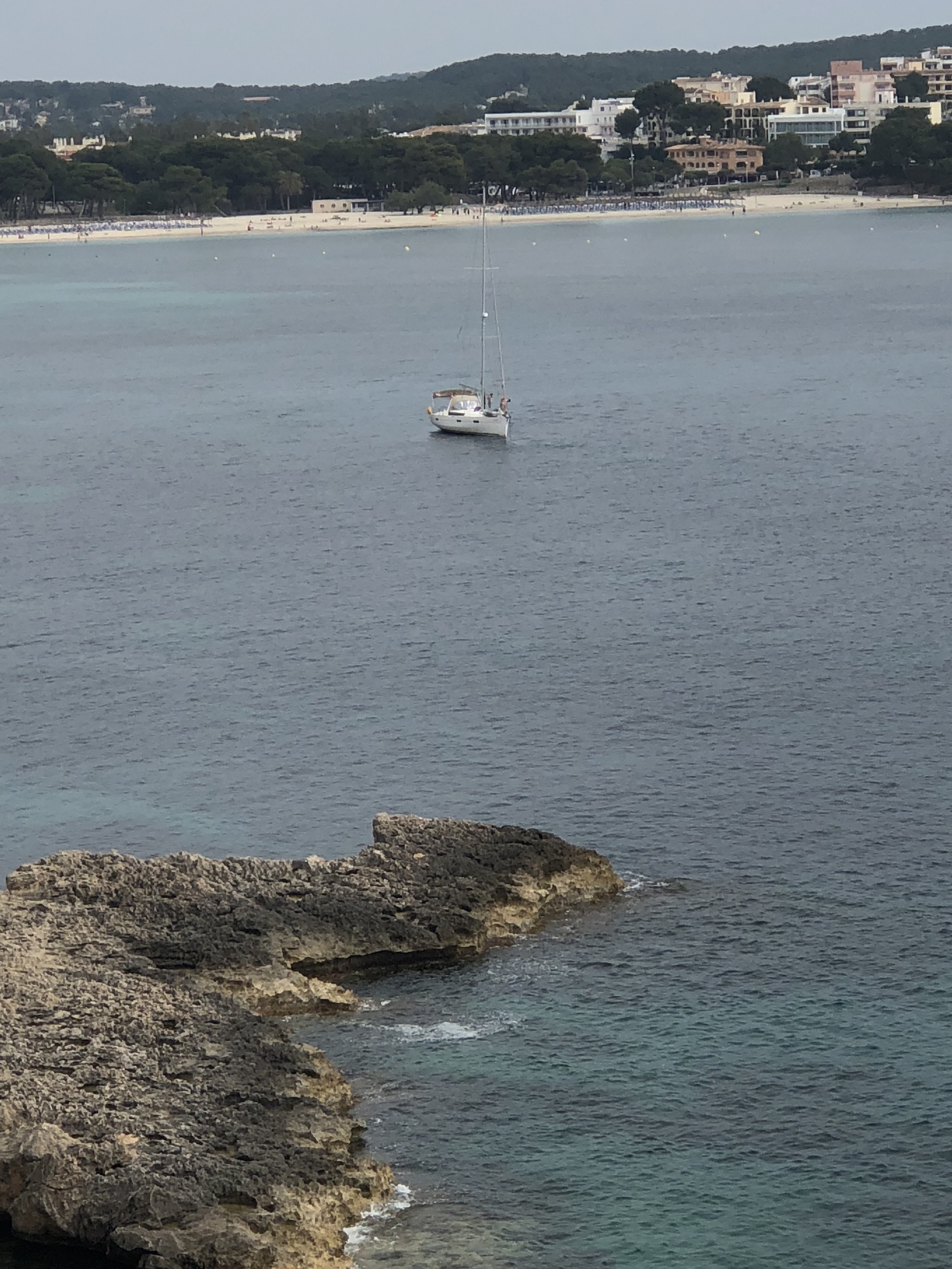 3B828761-6666-4BF5-918D-D12C834960A5