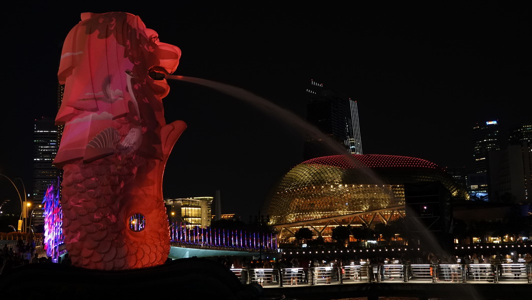 "i light singapur" hieß das Licht-Spektakel 18.02.19