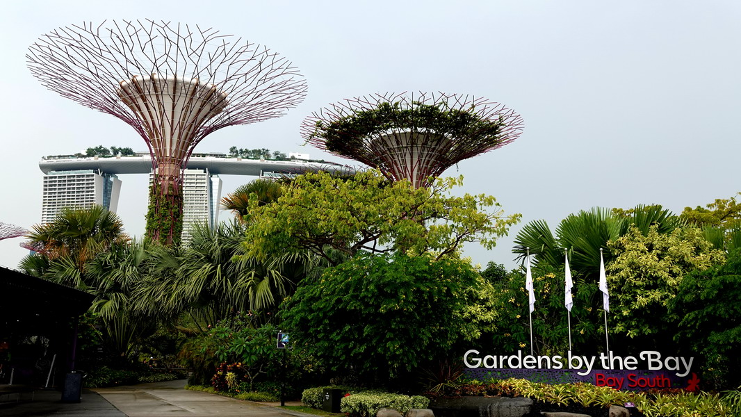 Gardens by the Bay, Singapur.