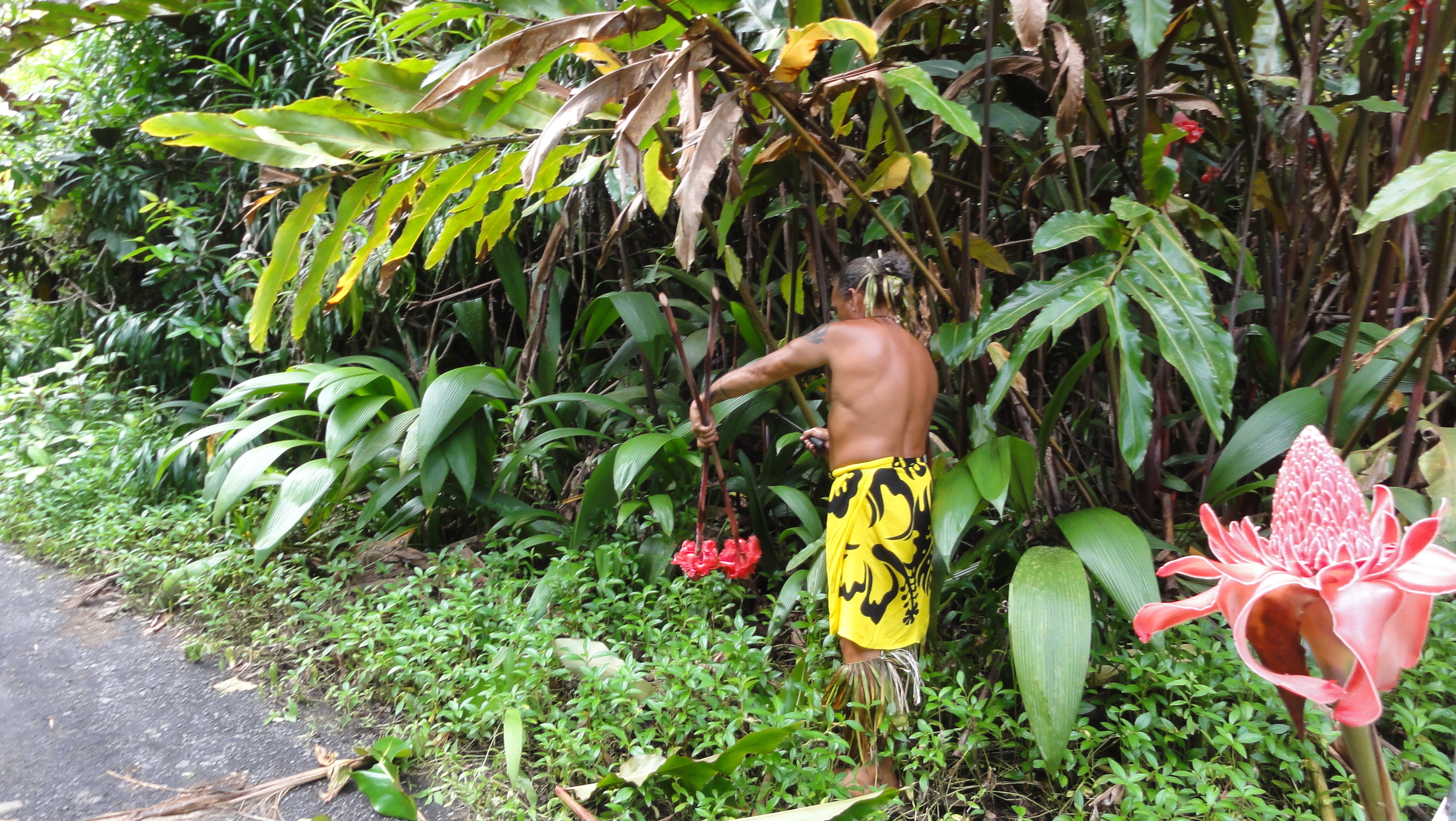 Papeete Ausflug mit Taifa