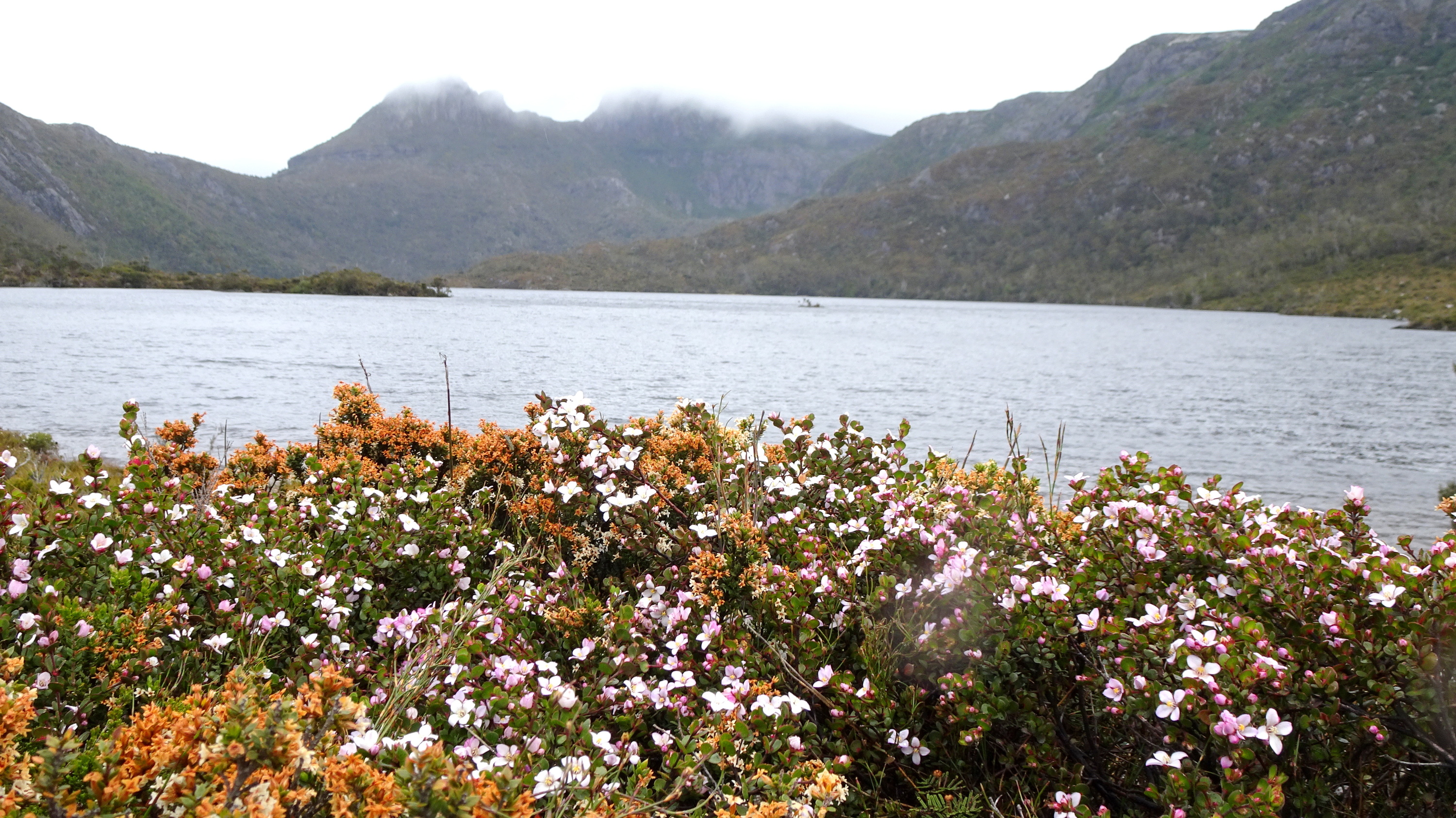 Burnie Cradle Mountain