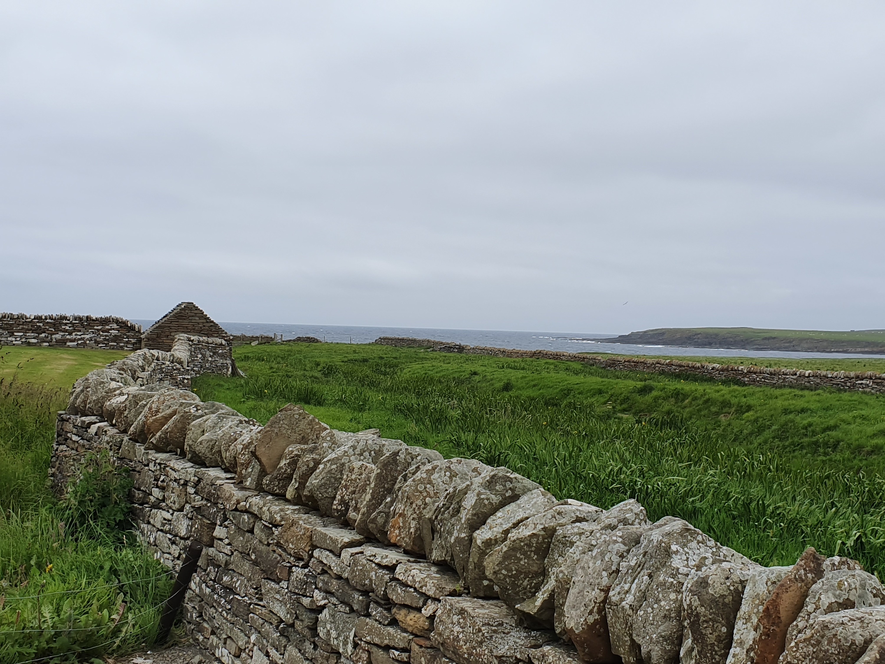 Orkney Inseln