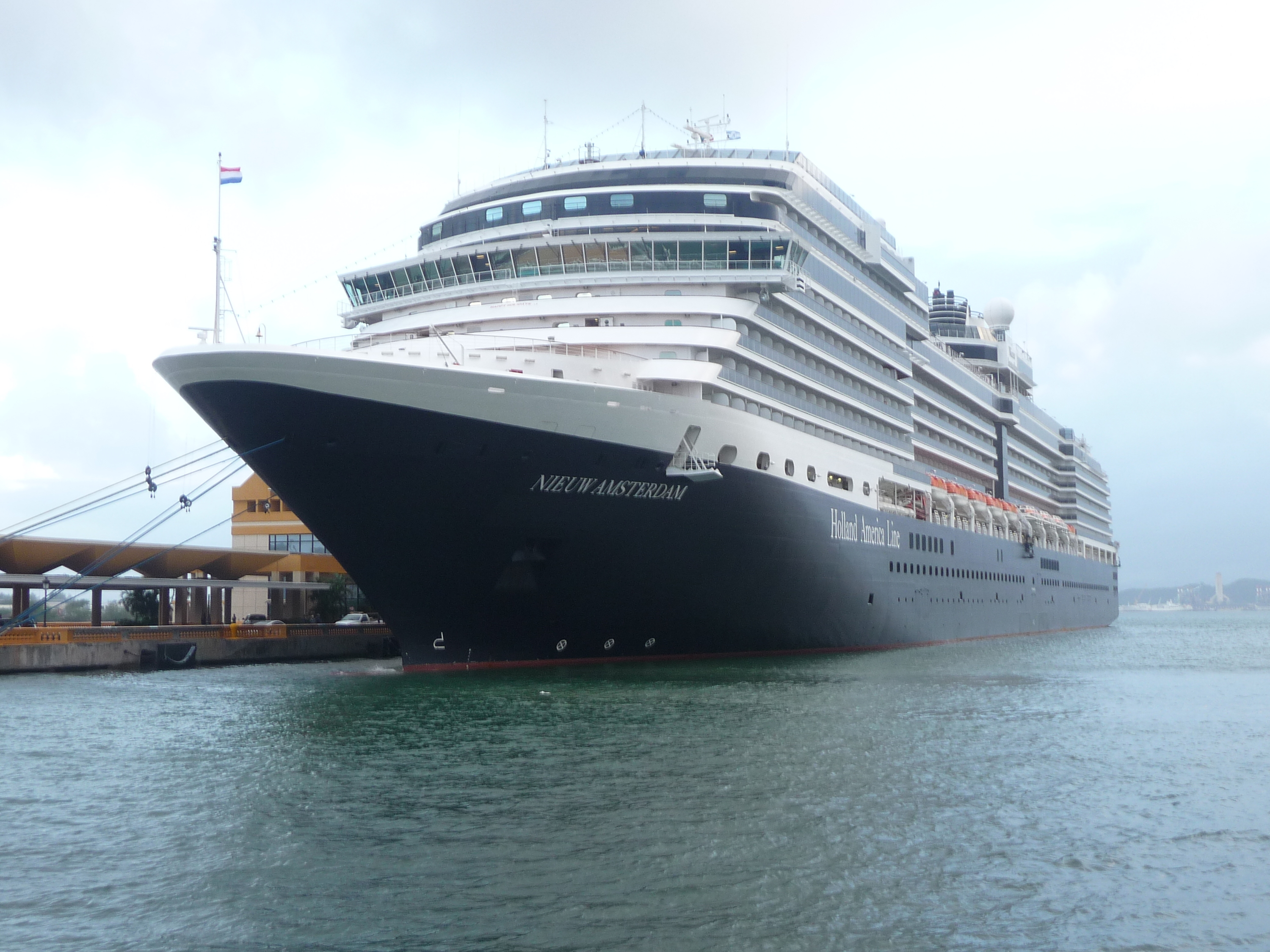 Nieuw Amsterdam 2013