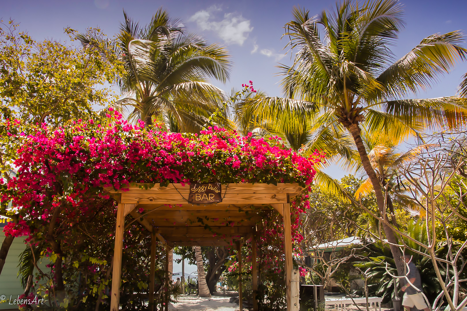 AIDAvita, Ausflug zur Insel "jost van dyke" - british virgin islands - noch bevor Irma und Maria die Palmen und die Soggy Dollar Bar verwüstete