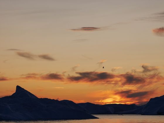 Sonnenuntergang im Eisfeld bei Ilimanaq