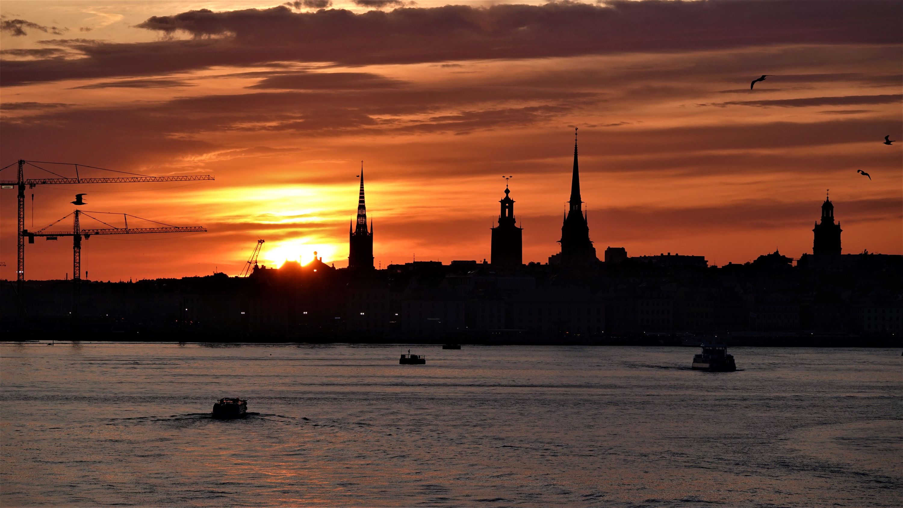 Gamla Stan vor der untergehenden Sonne