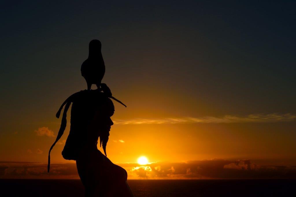 Eine tolle Lady - ein klasse Schiff!