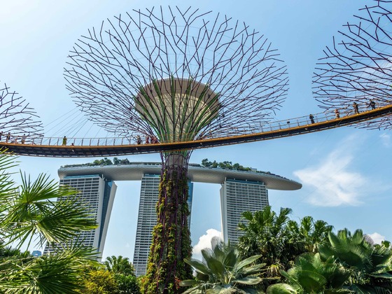Singapur - Gardens by the Bay3