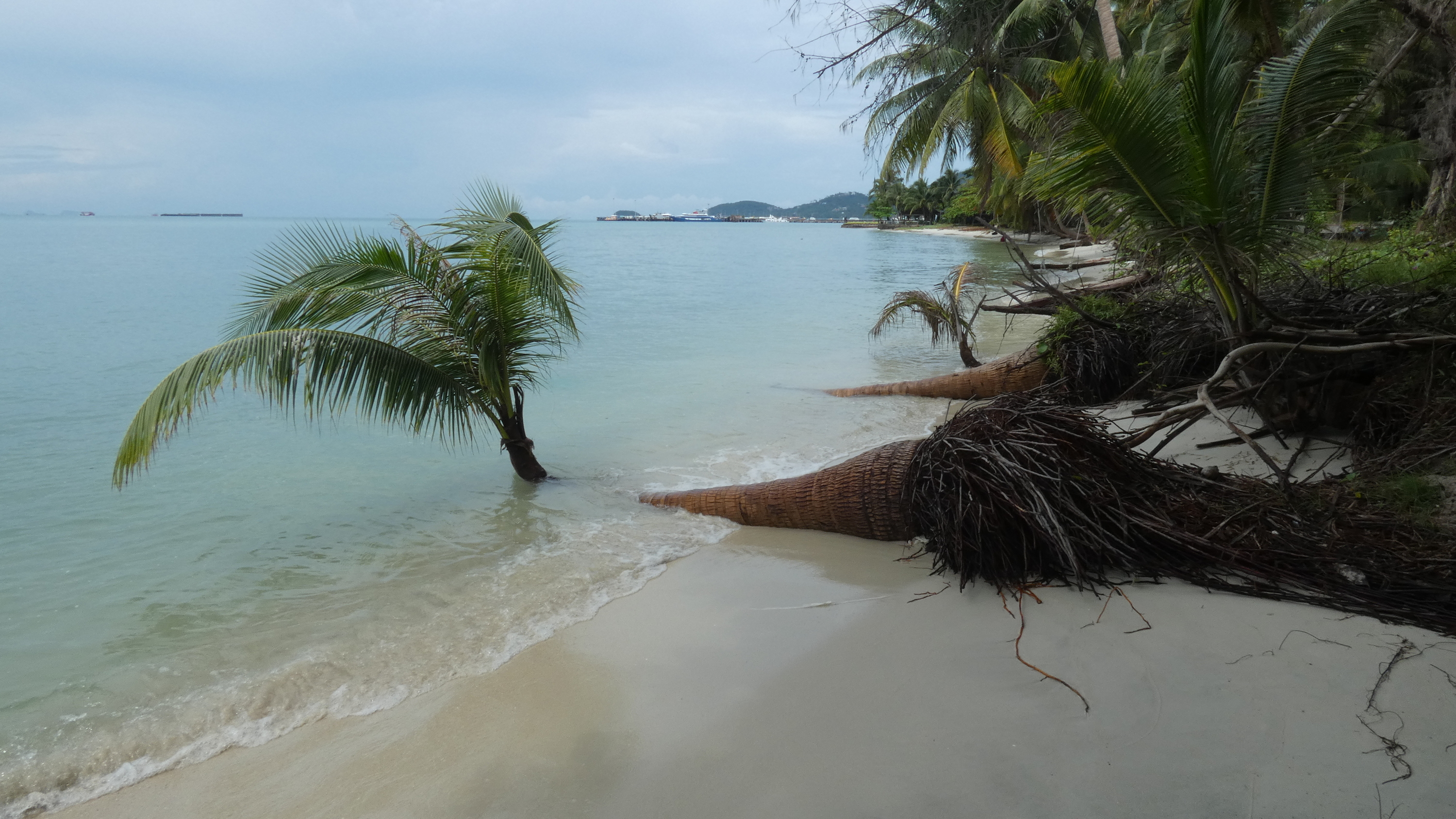 Coconut Beach Ko Samui, Naton