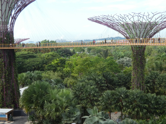 Supertrees - Gardens by the Bay, Singapur