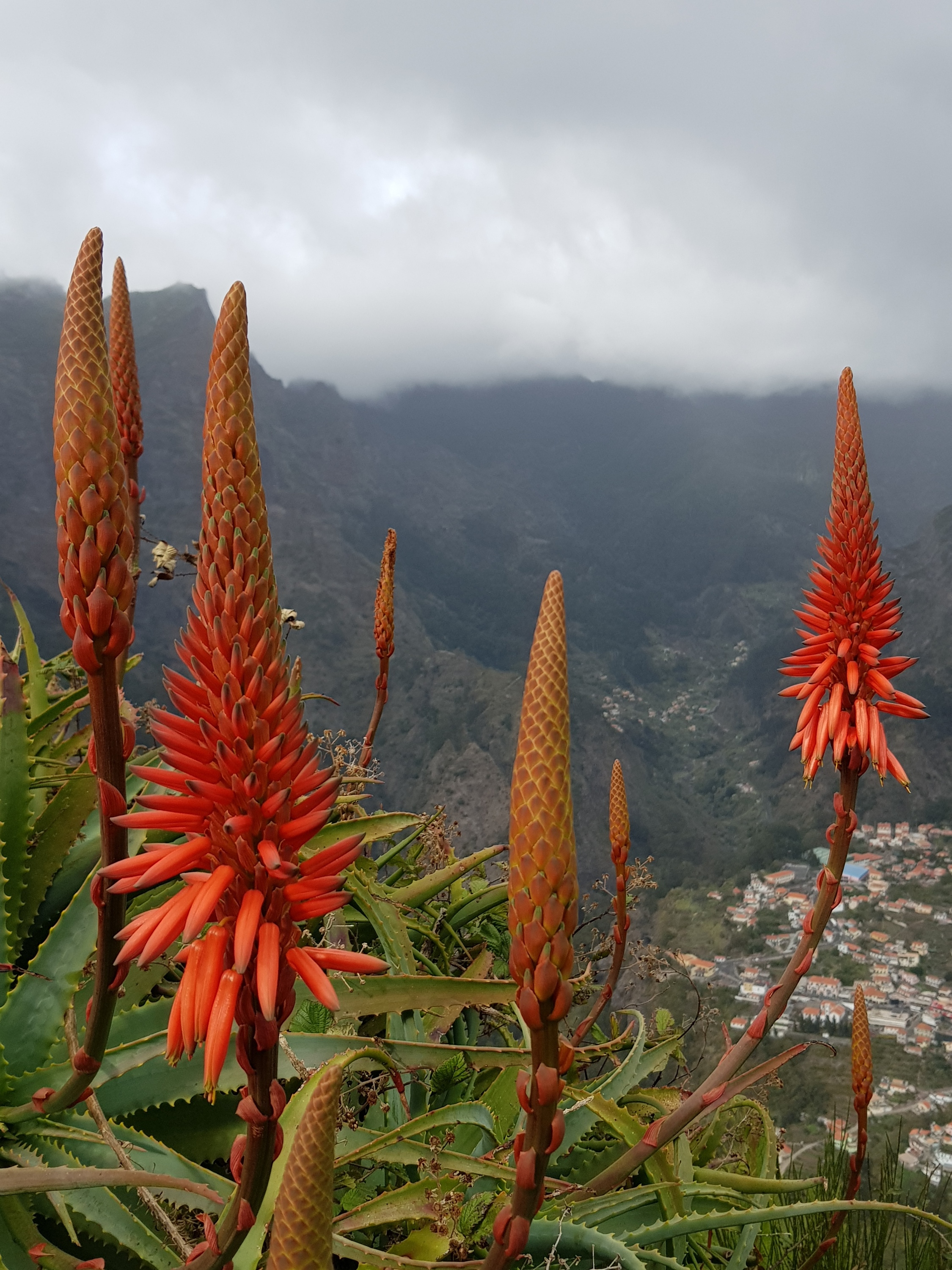 Blick vom Eira do Serrado