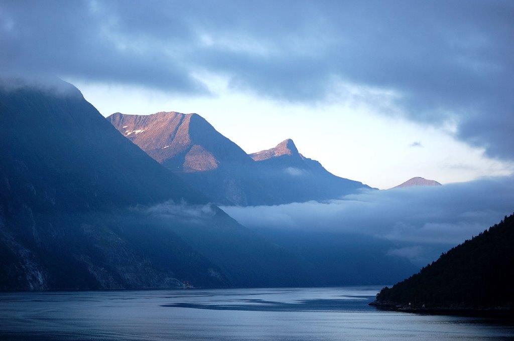 Der frühe Vogel ...