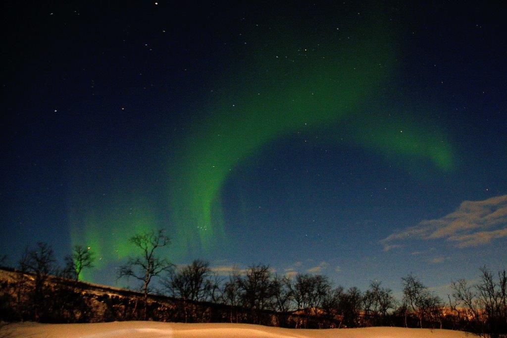 Die schönsten Weihnachtslichter