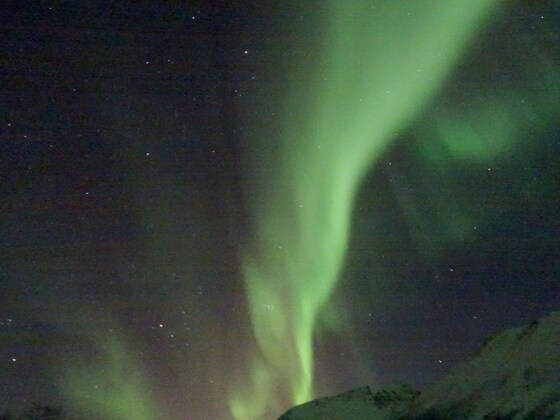 Nordlichtsafari bei Tromsø