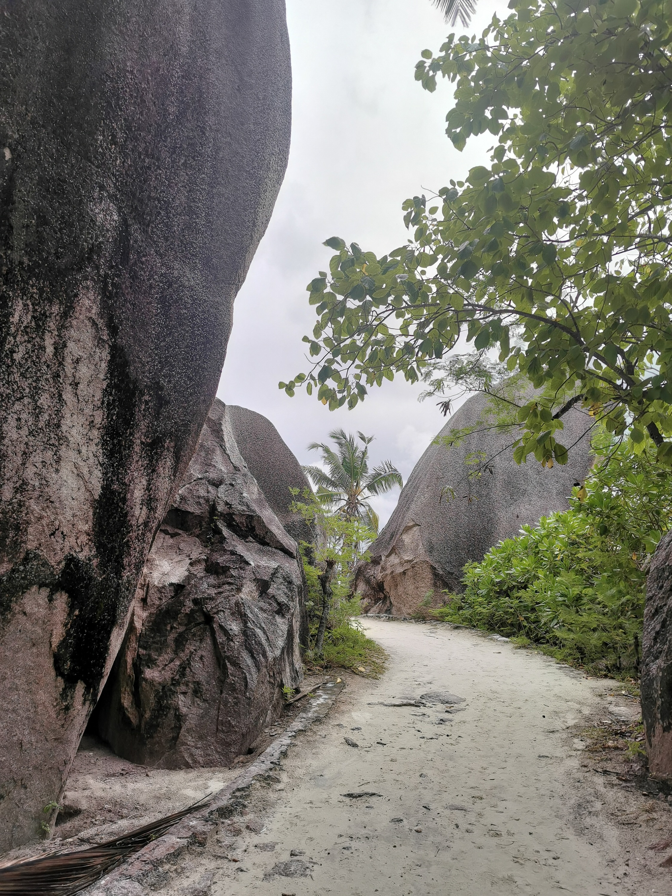 Seychellen Beste Tour. AIDA Blu