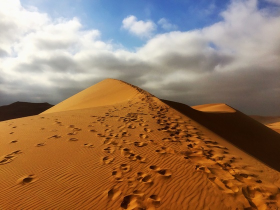 Dune 7 - Walvis Bay Namibia