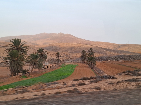 Ausflug nach Ajuy - Fuerteventura <3