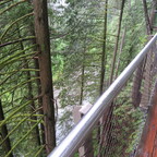 Capilano Suspension Bridge
