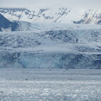 John Hopkins Glacier