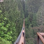 Capilano Suspension Bridge
