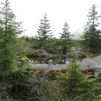 Unterwegs auf dem Nugget Falls Trail