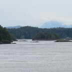 Passage Johnstone Strait