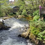 Married Man's Trail Ketchikan
