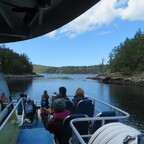 Inselwelt vor Vancouver Island