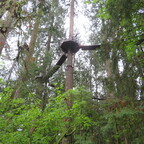 Capilano Suspension Bridge