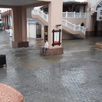 Starkregen in Muscat, gibt's denn sowas?