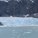 Margerie Glacier