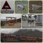Spitzbergen - Svalbard