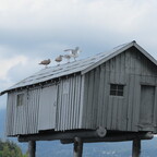 Coal Harbour Vancouver