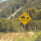 Nächsten Tag in die Wildness gefahren. Mir wurde gesagt solche Schilder sollte ich ernst nehmen :)