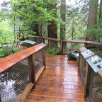 Capilano Suspension Bridge